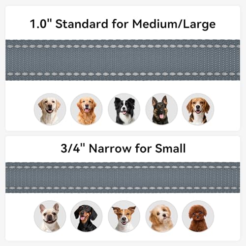 Joytale Dog Leash, 4 FT Double-Sided Reflective, Padded Handle Nylon Heavy Duty Leashes for Medium & Large Dogs Walking, Grey - color: Grey, size: 4 ft Standard