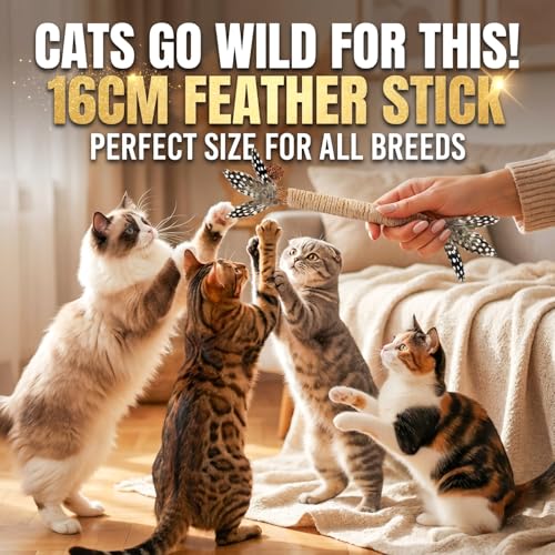 Cat Toys 12Pcs Catnip Toys for Indoor Kitten Cat Silvervine Chew Molar Scratch Cotton Rope Cleaning Teeth Dental Stick Treat Kitty Self Play Kick - size: MIX-12 Pack