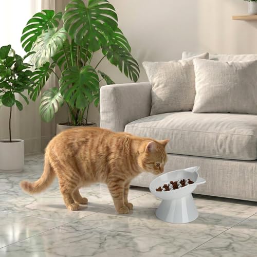 Ceramic Slow Feeder Cat Bowl, 2 Cups Tilted Elevated Cat Slow Feeder Bowl for Dry and Wet Food, Honeycomb Design for Preventing Vomiting & Bloating (White-Cute Kitten) - color: White-Cute kitten