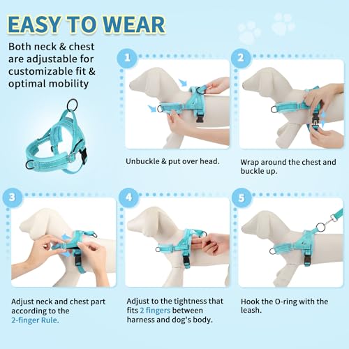 SlowTon No Pull Small Dog Harness and Leash Set, Puppy Soft Vest Harness Neck & Chest Adjustable, Reflective Lightweight Harness & Anti-Twist Pet Lead Combo for Small Medium Dogs(BL-Front Clip,S) - color: B-Teal - With Front Clip, size: Small