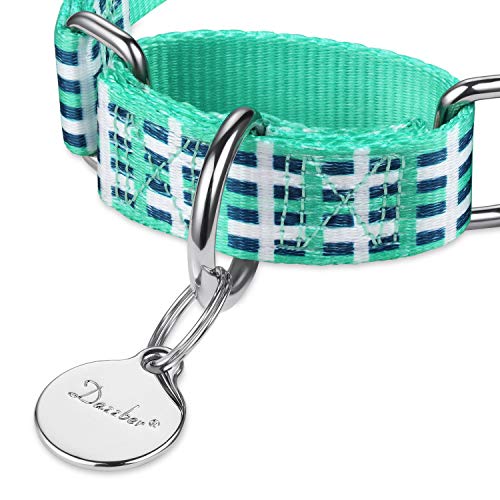 Martingale Dog Collars Colourful Oil Painting Pattern Series - No Pull Pet Collar Silky Soft for Medium and Large Dogs (Medium, 1 Inch Wide, Blue White Plaid) - color: Blue White Plaid, size: Medium: 14"-21", 1" Wide