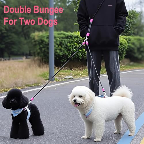 Double Dog Leash for Two Dogs,Dual Hands Free Dog Leashes,360 Swivel No Tangle Walking Leash,Soft Padded Handle,Adjustable Crossbody Waist Rope for Small Medium Large Dogs,Black - color: Black