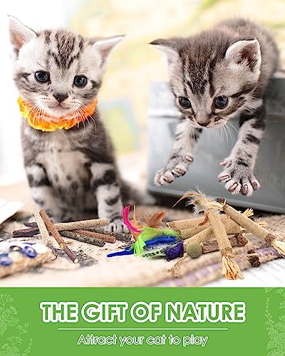 TINDTOP Silvervine Chew Sticks for Cats, 12 Pack Natural Catnip Chew Toys for Kittens Teeth Cleaning, Matatabi Dental Care, Increase Appetite, Calm Cat Anxiety and Stress, Cat Dental Toy - color: 12 Pack