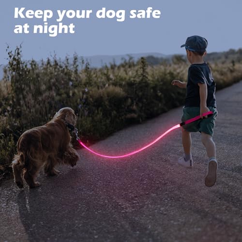 LED Dog Leash with Light - 4 Feet, Rechargeable, Nylon Webbing, Glow Safety Standard Dog Leash (Pink) - color: Pink, size: 4 Feet