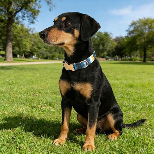 Personalized Custom Customized Silent No Jingle Dog Collar with Engraved ID Dog Name Phone Number/Dog Collars for Puppy X-Small Small Medium Large X-Large Boy Girl Dogs-Blue Stripe-S - color: 10 Blue Stripe, size: Small (0.6" * 10"-15.3")