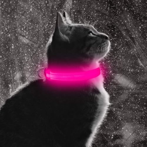 BSEEN Light Up Dog Collar - Reflective LED Dog Collar Rechargeable Glowing Pet Collar for Puppies & Cats, Safety Dog Lights for Night Walking (Pink) - color: Pink