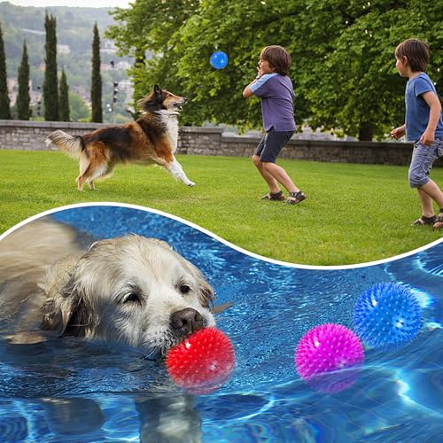4 Pack 4.5” Squeaky Dog Balls for Large and Medium Dogs, Spiky Dog Toy Balls for Aggressive Chewers - color: Large Set of 4