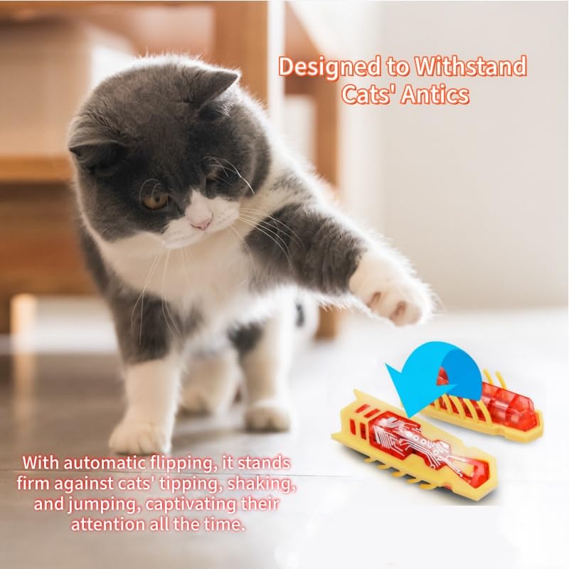 Cat Interactive Teaser Toys 2PCS Electric Moving Beetle Mini Electric Robot Beetle Electric Funny Interactive Toy Heal Loneliness for Cat Kitten Replaceable Battery (Green+Orange) - color: Green+orange