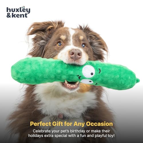 Huxley & Kent Funny Dog Toy w/Squeaker – Power Plush Squeaky Dog Toys for Small, Medium & Large Dogs – Soft Stuffed Animal for Indoor Play & Fetch - Fetchies® Dell Pickle, Small - size: Small, style: Dell Pickle