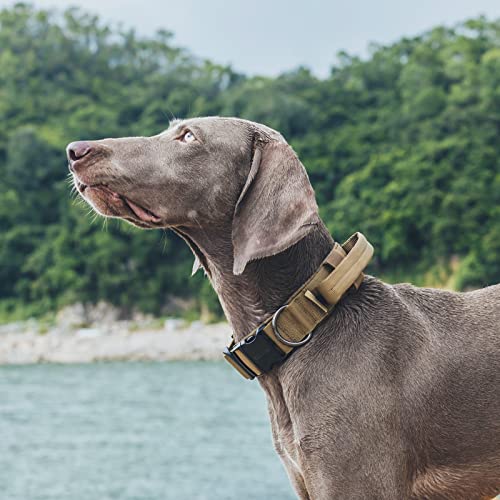 OneTigris Tough Dog Collars, Tactical Dog Collar with Handle, Milltary Adjustable Dog Collar with Heavy Duty Metal Buckle for Training (Brown, S) - color: Brown, size: S