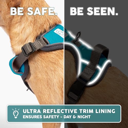 Embark Adventure Dog Harness for Small, Medium & Large Dogs – No Pull, Reflective Trim, Military Grade Nylon, 2 Leash Clips, Gel-Lined Handle, Soft Padded - color: Blue, size: XS