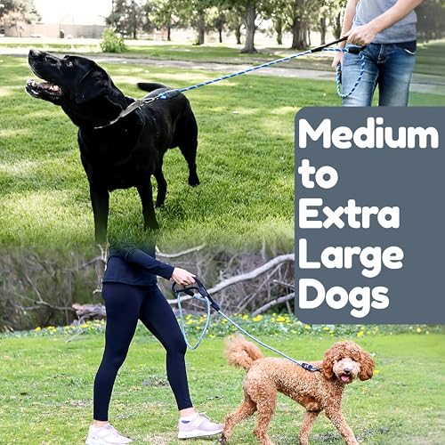 6 Foot Dog Leash, Two Extra Padded Handles, Locking Carabiner Clip, Reflective for Night Visibility, Weatherproof, Heavy Duty Rope Leash, Roam Gear (Blue) - color: Blue