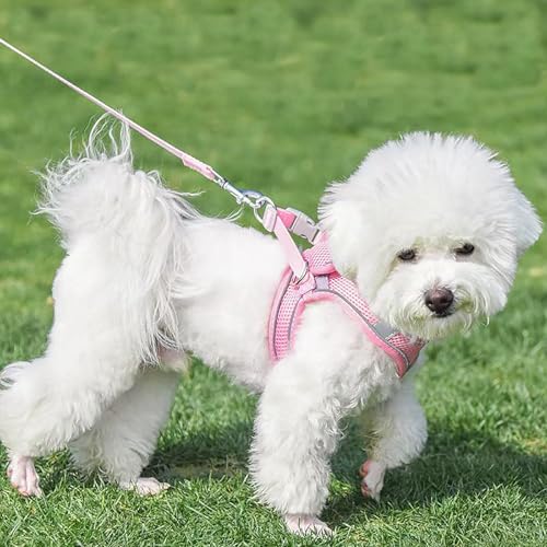 Dog Harness and Leash Set, No Pull Soft Mesh Pet Harness, Reflective Adjustable Puppy Vest for Dogs/Cats - color: Pink, size: Medium