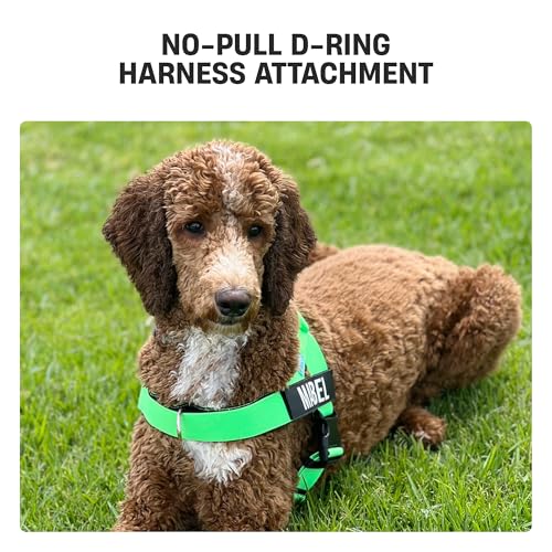 D-Ring No-Pull Harness Attachment by Dog Friendly Co. - size: S-XL