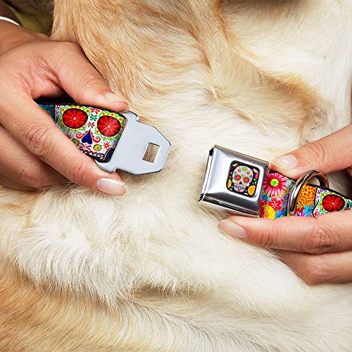 Buckle-Down Dog Collar Seatbelt Buckle Sugar Skull Starburst White Multi Color 18 to 32 Inches 1.5 Inch Wide (DC-WTY008-WL) - size: 1.5" Wide - Fits 20-31" Neck - Large