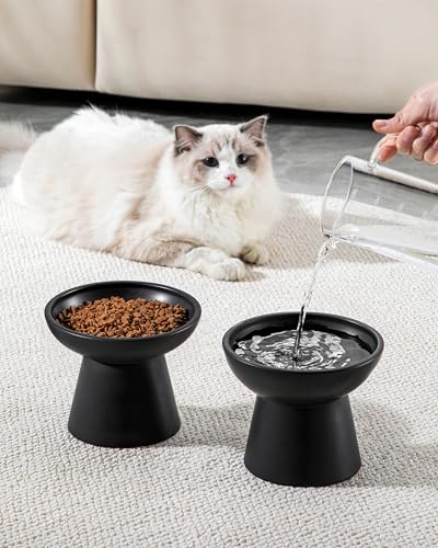 vancasso Ceramic Elevated Cat Bowls 2-Pack - 6.2" Extra Wide Raised Cat Food & Water Dishes, 5.1" Optimal Height Anti-Whisker Fatigue Shallow Bowls for Cats/Kittens/Dogs, Lead & Cadmium Free (Black) - color: Black