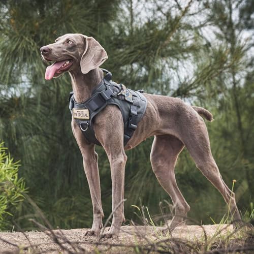 OneTigris Tactical Dog Harness Vest,No-Pull Service Dog Vest with Hook & Loop Panels,Adjustable Dog Vest Harness for Walking Hiking Training(Grey,XS) - color: Grey, size: XS