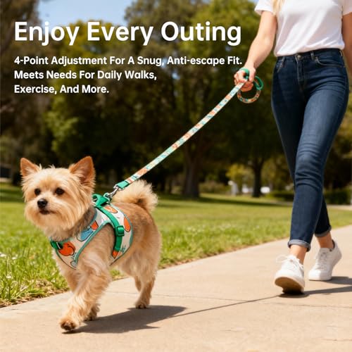 Touchdog Artist Series Y-Shape Dog Harness, 70g Ultra-Lightweight Breathable Air-Layer Vest with Soft Padded Chest, No-Pull Adjustable Harness for Small Medium Dogs (Pink, XS) - color: Pink, size: XS