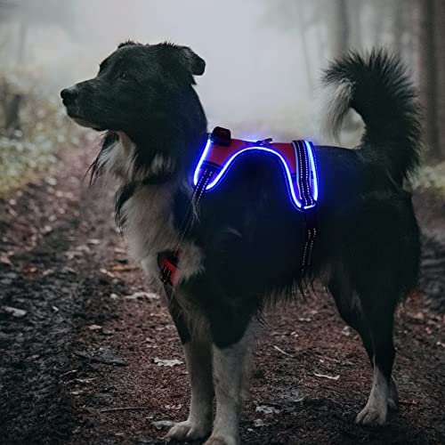 Safety LED Dog Harness - Light Up Dog Vest, No-Pull Dog Harness - Rechargeable Glowing Pet Harness for Night Walking & Camping (Pink+Blue Light, Medium) - color: Pink+Blue Light, size: Medium