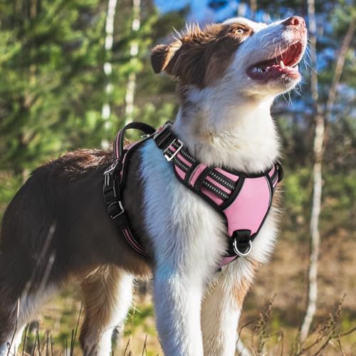 rabbitgoo Dog Harness Medium Sized, No Pull Dog Vest with 3 Buckles, Adjustable Soft Padded Pet Harness with Easy Control Handle and Reflective Strips, Light Pink, M - color: Light Pink, size: Medium