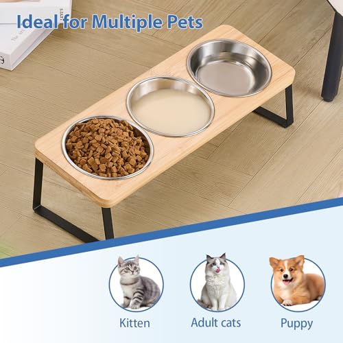 Hannadepot Elevated Cat Bowls, 15° Tilted Raised Cat Food and Water Bowl, Anti-Vomit & Whisker-Friendly Design, 3 Stainless Steel Bowls for Cats and Small Dogs