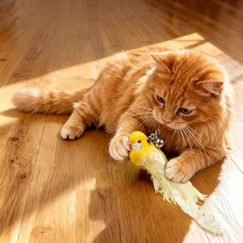 10PCS Cat Bird Toy Refills Feather Cat Wand Attachments with Bell, Interactive Cat Toys for Indoor Cats Kittens, Kitty - color: 10PCS Birds
