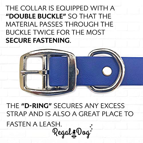 Regal Dog Products Medium Blue Waterproof Dog Collars with Custom Engraved Name Plate | Vinyl Coated, Anti, Easy to Clean Personalized Biothane Dog Collar - Other Sizes for Small & Large Dogs - color: Blue, size: Medium Collar