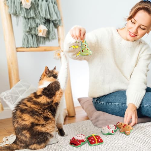 Retro Shaw Christmas Cat Toys, Xmas Catnip Toys for Indoor Cats Kitten Teeth Cleaning, Crinkly Interactive Cat Chew Nip Kitty Kicker Toy Santa Claus Trees Snowman, 5 Pack - size: 3.0 Inches