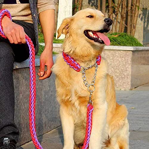Love Dream Dog Collar and Leash Set, Heavy Duty Nylon Braided Rope Strong 4 FT Dog Leash and Martingale Training Collar for Small Medium Large Dogs Training and Walking (Red & Purple) - color: Red & Purple, size: Medium (Thick 1.5cm)
