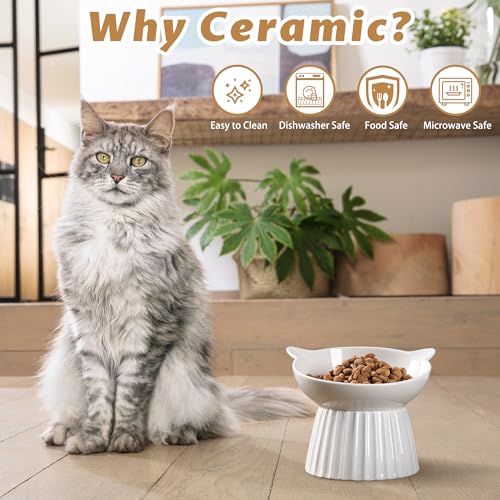 Ceramic Raised Cat Bowl,Tilted Raised Cat Bowl Anti Vomit Cat Bowls for Indoor Cats Whisker Friendly Pet Feeder for Cats Puppies, Microwave and Dishwasher Safe - color: White