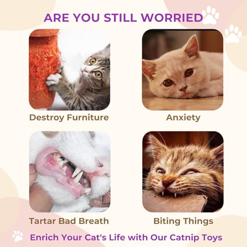 Cat Toys Fish 4-Pack, Durable Canvas Catnip Toys for Indoor Cats and Kittens, Interactive Kicker and Chew Toys, Soft Plush Cat Toys Set