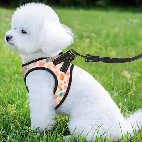 Maple Leaf Autumn Leaves Pet Harness Escape Proof Dog Harness Adjustable Mesh Padded Reflective Dog Vest Harness and Leash Set Medium - color: Style 10, size: Medium