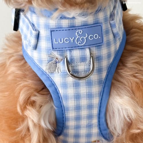 Lucy & Co. Silly Goose No-Pull Dog Harness, Adjustable Front Clip Harness with Comfort Padding, Small - color: Silly Goose, size: Small