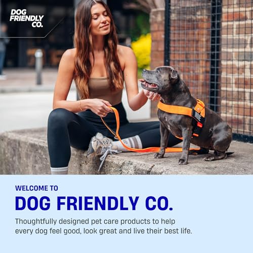 Dog Friendly Co. Dog Harness | Chafe Resistant Webbing, Adjustable Neck & Chest, and Heavy Duty D-Ring | Sturdy, Comfortable, Easy to Use | Red, Size XS - color: Red, size: X-Small