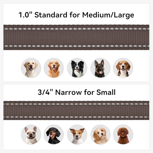 Joytale Double-Sided Reflective Dog Leash, 4 FT, Padded Handle Nylon Heavy Duty Leashes for Medium & Large Dogs Walking, Brown - color: Brown, size: 4 ft Standard