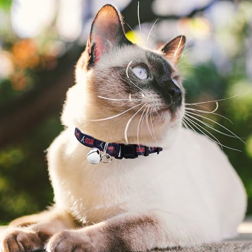 MLB CAT Collar Atlanta Braves Satin Cat Collar Baseball Team Collar for Dogs & Cats. A Shiny & Colorful Cat Collar with Ringing Bell Pendant - color: Atlanta Braves