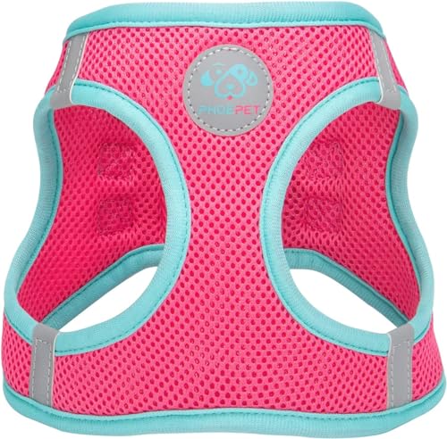 PHOEPET Step-in Dog Harness,Reflective Adjustable Dog Vest Harness, Soft Pet Walking Jacket with 2 Metal Leash Hooks for Dog and Cat(Pink Base & Green Straps,XS) - color: Pink Base & Green Straps, size: XS (Neck: 9-10”,Chest: 11.5-13”)