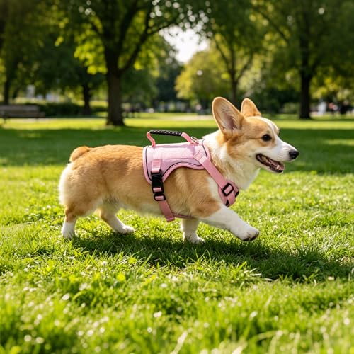 AIITLE Small Dog Harness No Pull, Reflective Adjustable Vest with Handle, No Choke Design, Dual Metal Leash Clips for Walking Training Running Camping, Small Medium Breeds - Pink S - color: Pink, size: S