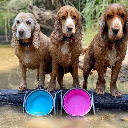 Loving Pets Bella Roma Collapsible Dog Bowls - Silicone Dog Bowls, Foldable Bowl, Puppy Essentials & Hiking Pet Supplies Great for Home & Travel (Pink, Large) - color: Pink, size: Large Travel Bowl