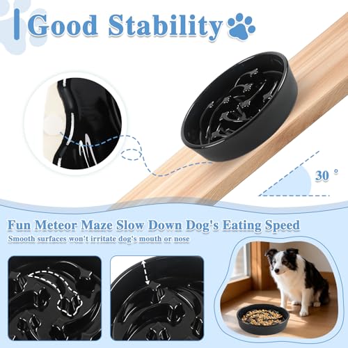 Ceramic Slow Feeder Dog Bowls, 2 Cups Dog Food Dish for Medium and Large Breed, Puzzle Dog Food Bowl for Fast Eater, 28OZ, 8.15 inch(Black) - color: Black-L