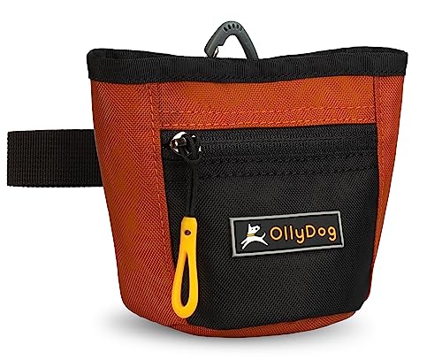 OllyDog Goodie Treat Bag, Dog Treat Pouch, Waist Belt Clip for Hands-Free Training, Magnetic Closure, Dog Training and Behavior Aids, Three Ways to Wear (Clay) - color: Clay