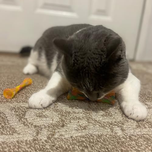 SPOT Kitty Fun Tubes Cat Toy | Bouncy Cat Toy with Catnip Inside for Cats and Kittens to Bite, Swat and Chase | Interactive Cat Toy | 3 Pieces