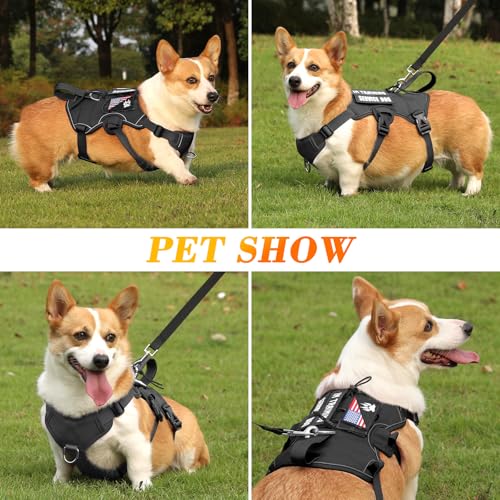 Escape Proof Dog Harness, Soft Padded Full Body Pet Harness, Reflective No Pull Dog Harness with Handle and 2 Leash Clips for Small Dogs Walking Hiking Training (Black,S)