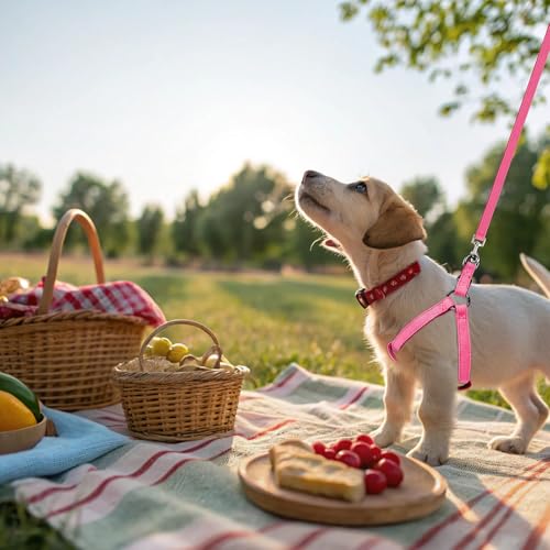 BINGPET Dog Harness Leash Set,Adjustable No Pull Step in Dog Harness,Stylish Denim Puppy Harness for Small and Medium Dogs Easy Walk Training Running(Pink,M) - color: Pink, size: M(Chest Girth:17.3''-23.38'')