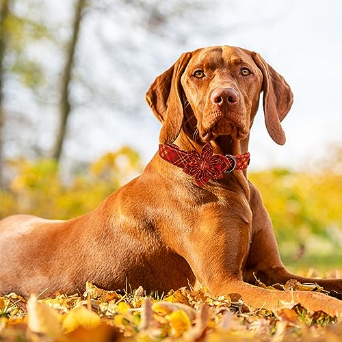 Dog Collar, Fall Dog Collar with Flower Plaid Pet Collar Puppy Collars Cute Adjustable Puppy Collars for X-Small Puppy - color: Fall, size: X-Small (Pack of 1)