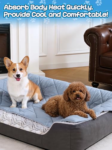 40x60in Large Cooling Blanket for Dogs - Machine Washable Soft Blanket with Q-MAX>0.4, Fits Medium Large Dogs, Summer Cooling Mat for Dog Kennel Car Seat Indoor Furniture Couch Sofa Protector - size: 40x60in