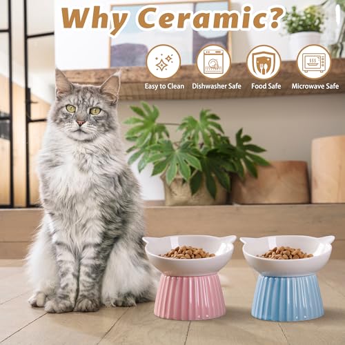 Ceramic Raised Cat Bowl,Tilted Raised Bowl Anti Vomit Bowls for Indoor Cats Whisker Friendly Pet Feeder for Cats Puppies, Microwave and Dishwasher Safe - color: Pink+Blue