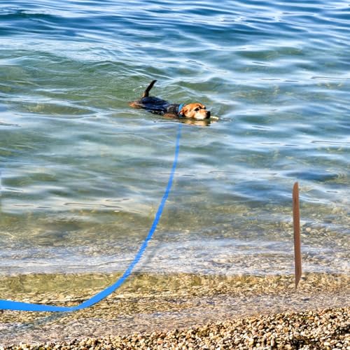 Waterproof Dog Training Leash,Long Line Heavy Duty Outdoor Recall Lead 10ft 16ft 20ft 30ft 50ft for Small Medium Large Dog (Blue, 32FT)