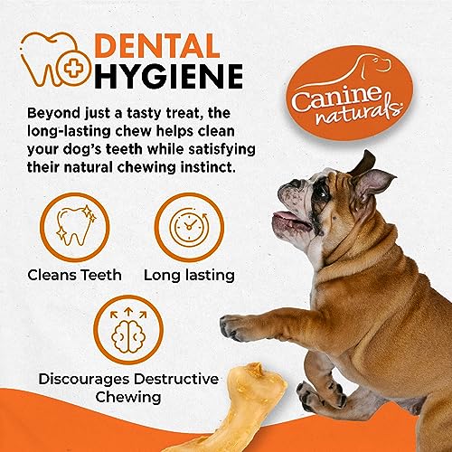 Canine Naturals IrresistiBONES Long Lasting Puppy Chicken and Rice Chew - Made with USA Chicken - All Natural - Added DHA for Healthy Growth - 6 Pack - size: 1 Count (Pack of 6)