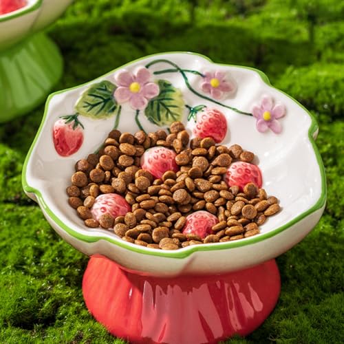 Ceramic Strawberry Elevated Cat Bowls, Tilted Raised Pet Dish for Anti Vomit, Spine Protection, Whisker Friendly - Excellent Raised Food and Water Bowl for Indoor Cats, Flat-Faced Cats (Red) - color: Red